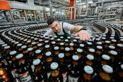 Bierflaschen: Die Brauerei Veltins hat 2023 weniger Bierverkauft, aber einen Rekordumsatz erzielt. 